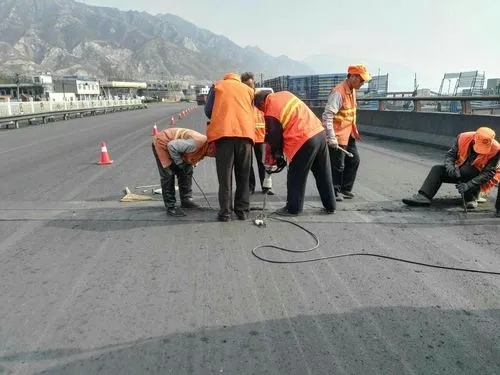 八宿道路桥梁病害治理